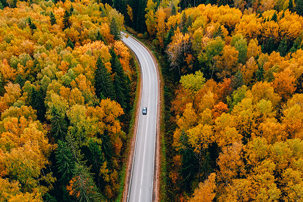 Fall Road-Trip Prep for California Drivers: Tires, Fluids, Safety | Rick's Automotive Service